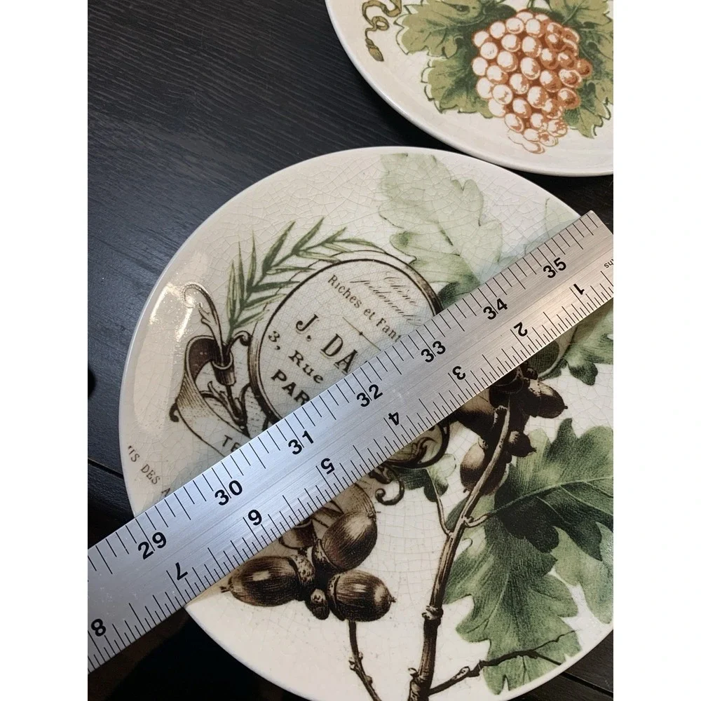 Pottery Barn Vino Plates Set of 4 French Vintage Botanical Appetizer Plates Box